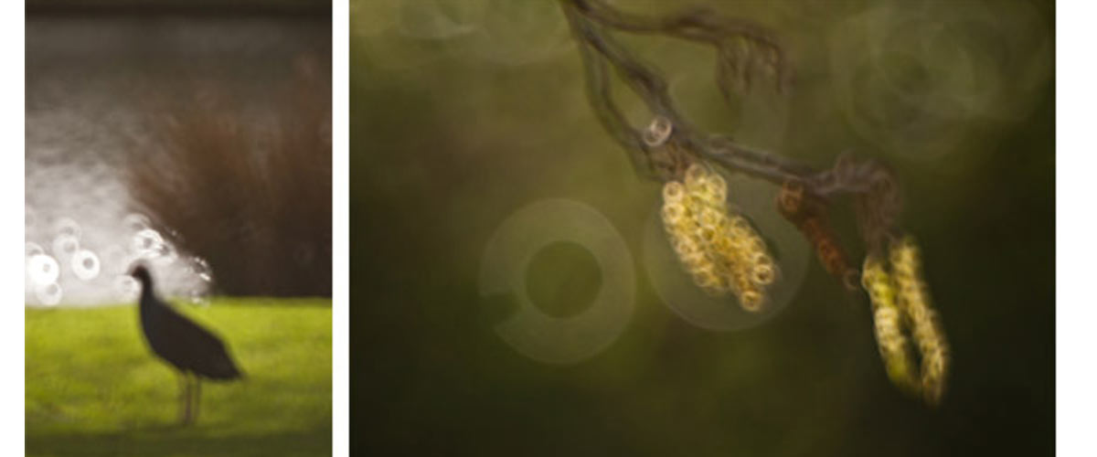 Mirror lens images